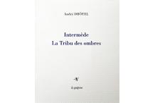 <p><strong>André Dhôtel,</strong> Intermède, La tribu des ombres</p>